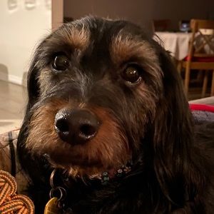 Meet your Posher, Isabelle